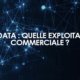 Big Data : quelle exploitation commerciale ?